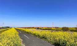 江戸川サイクリングルート