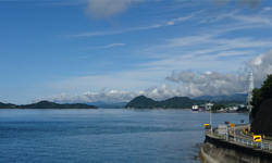 さざなみ海道 サイクリングルート