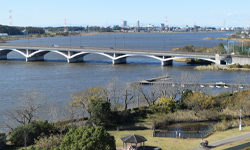 手賀沼一周サイクリング