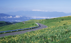 ビーナスラインサイクリング