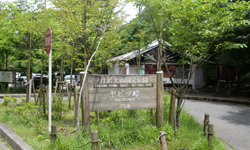 ヤビツ峠 サイクリングルート